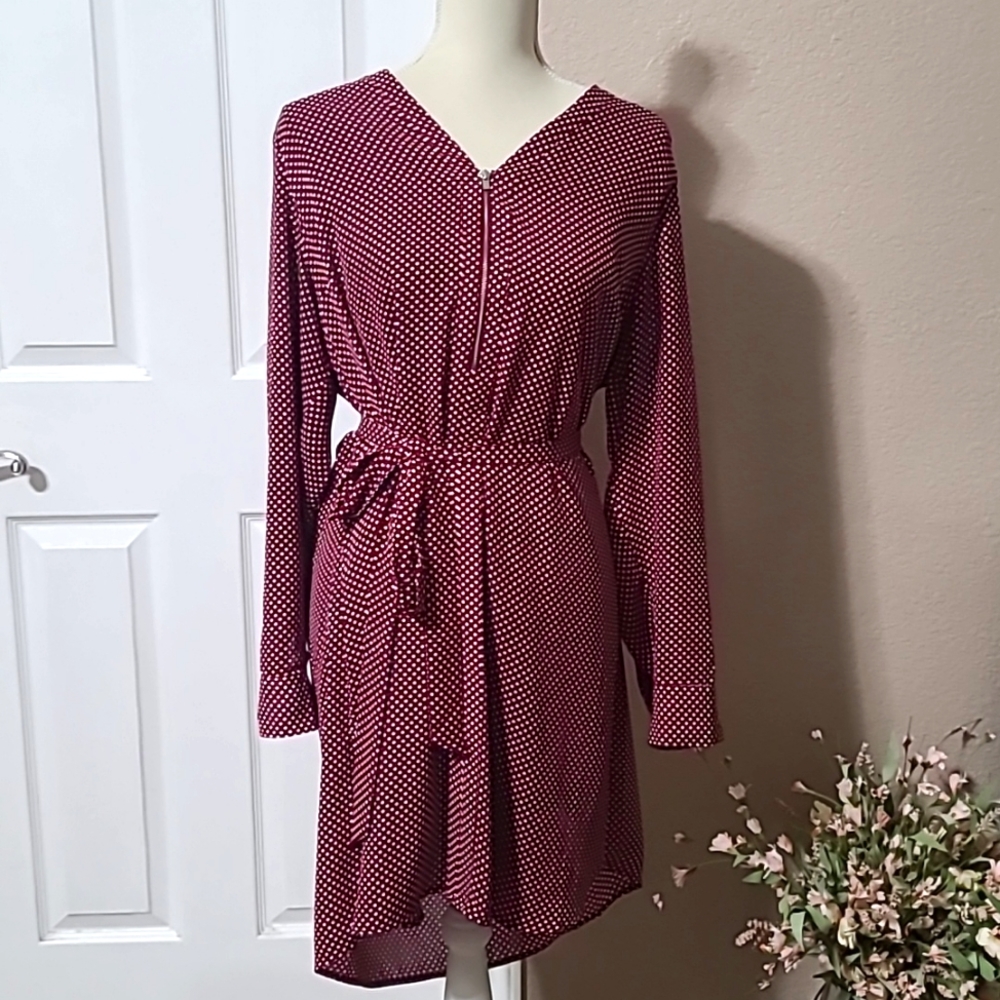 Express Polka dot dress